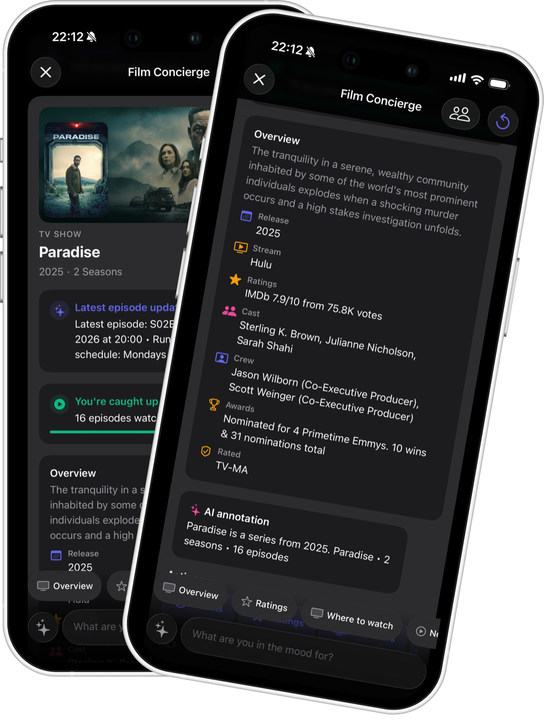 CineMatch AI Film Concierge chat screen